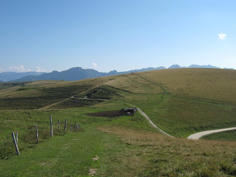 Immagine 52.jpg